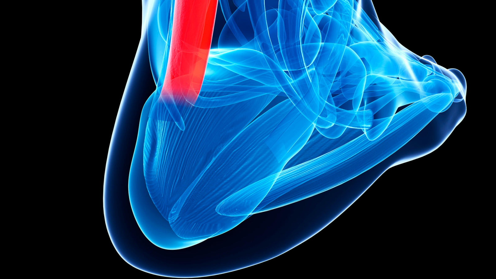 Injury Prevention for Achilles Tendon with Dani Davey