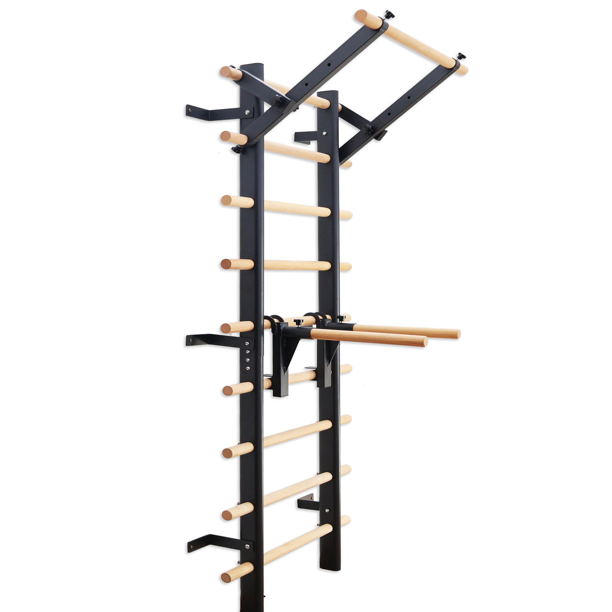 Wall Bar with Removable Pull-Up & Dip Station