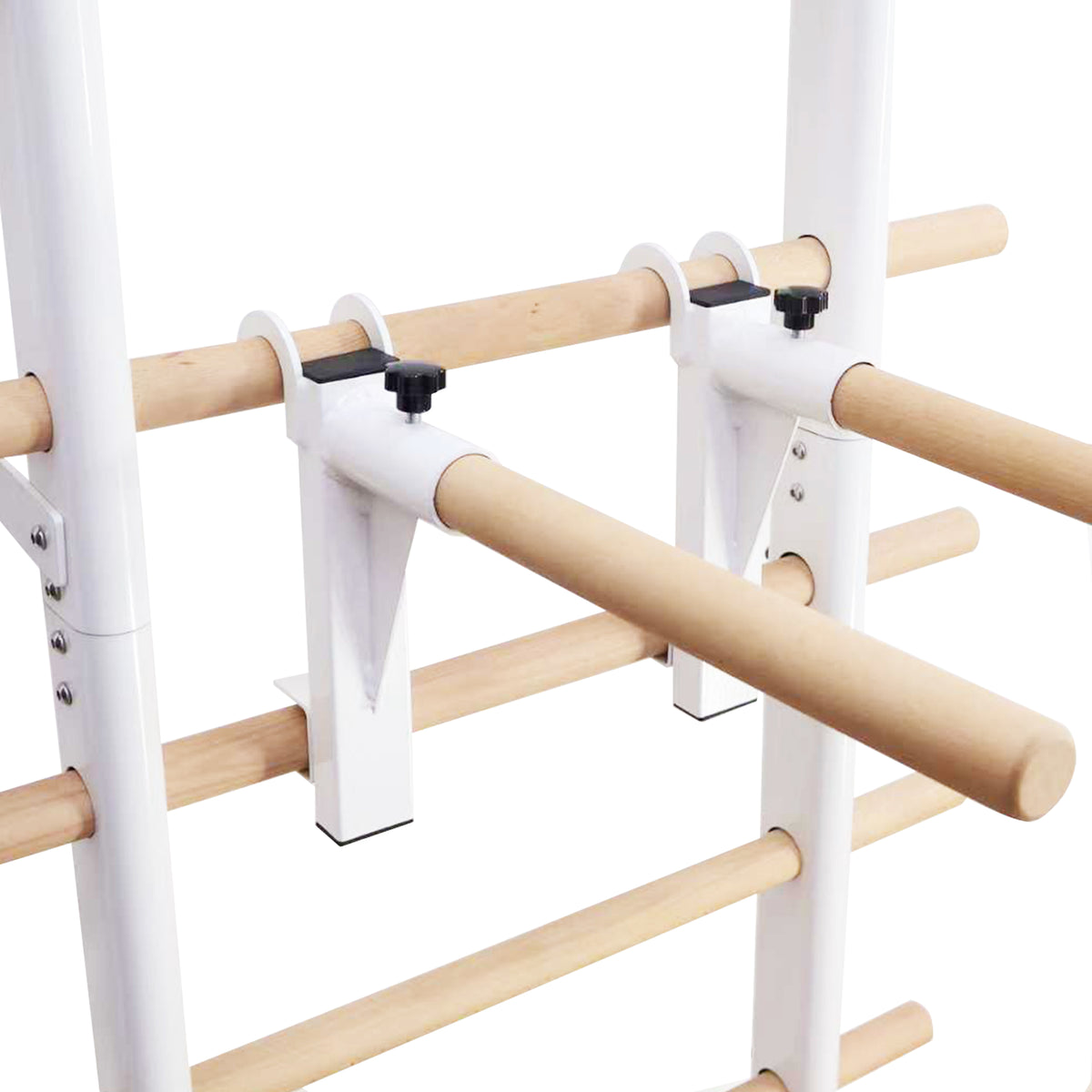 Wall Bar with Removable Pull-Up & Dip Station