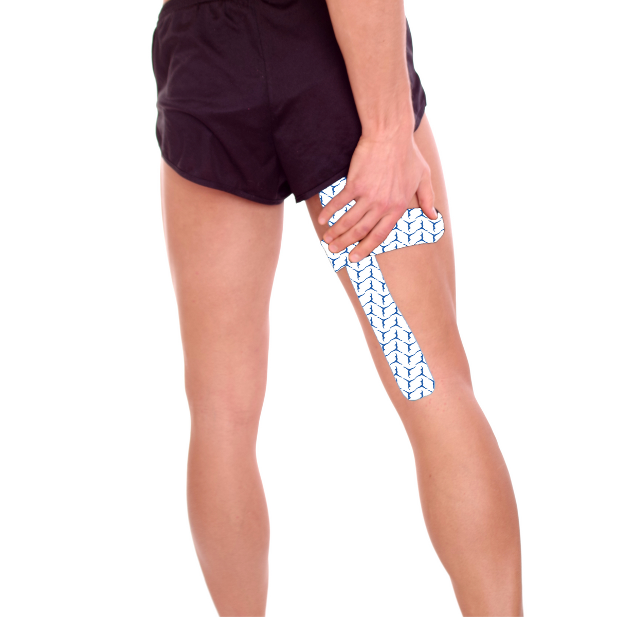 Strapping Tape (Roll)